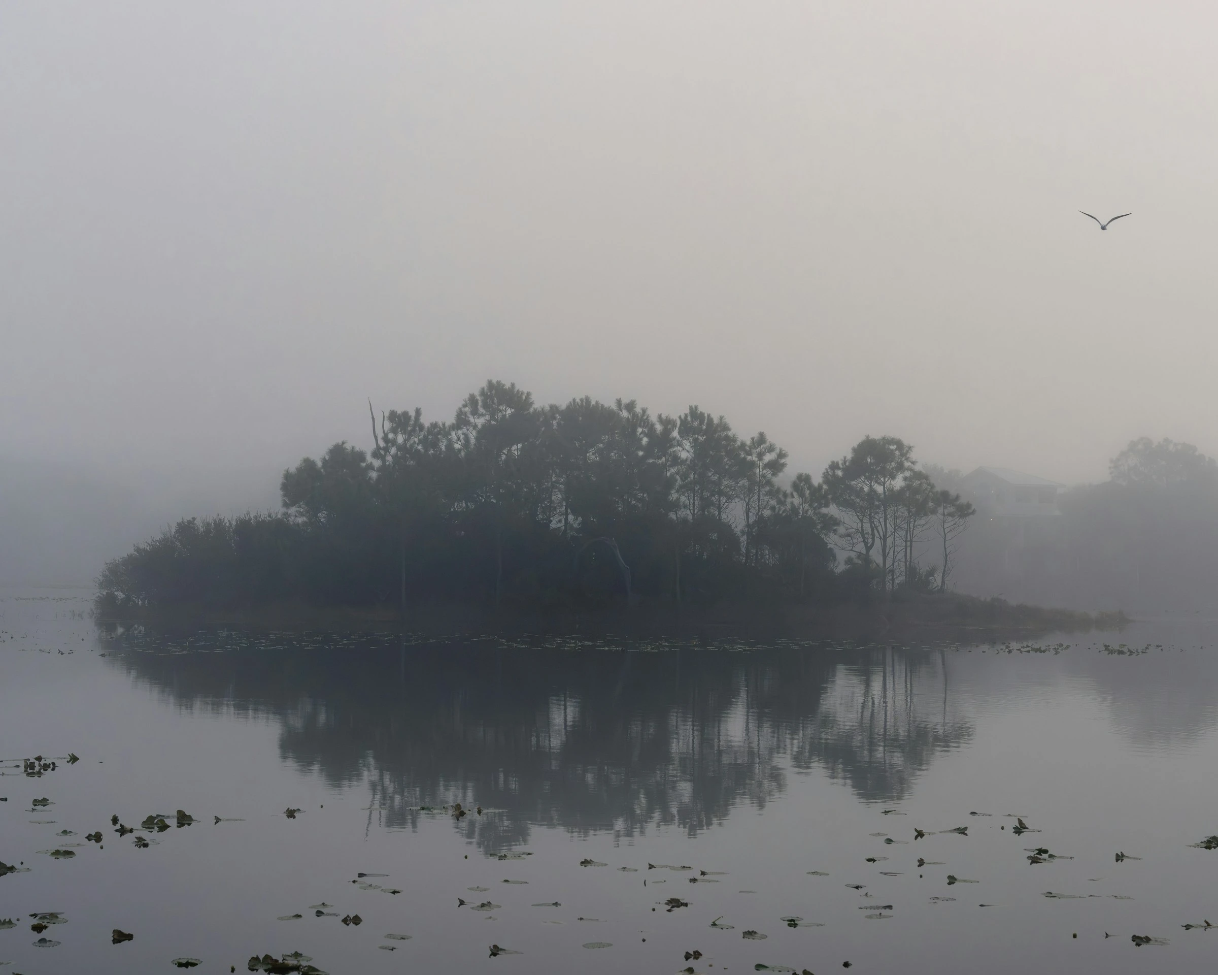 Misty island reflected in calm water